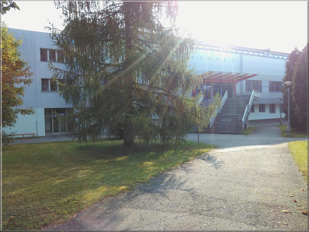 Zimní Stadion Tábor Exterior foto